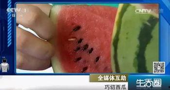 吃瓜不吐籽5422,网络热词背后的文化现象