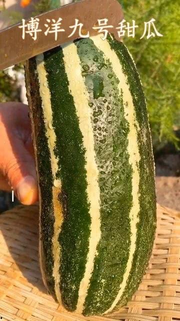 熟了的瓜怎么吃,熟瓜的多重食法探索