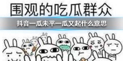 抖音吃瓜璐璐,揭秘娱乐圈幕后故事