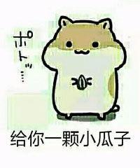 吃瓜吃瓜子表情包,吃瓜吃瓜子表情包大盘点