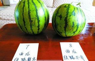 怎样挑小瓜吃,轻松辨别优质美味