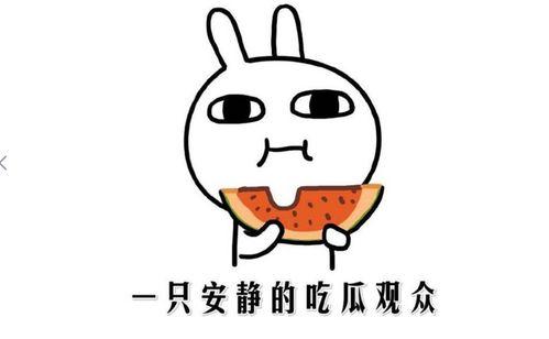 随便吃瓜怎么骂人,揭开人生百态的骂战之谜