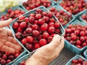 吃完樱桃吃瓜,美味接续的甜蜜之旅