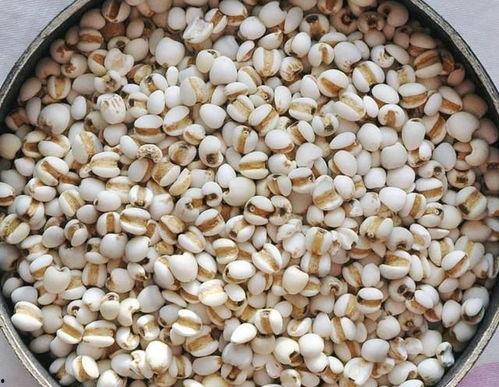 立夏吃瓜传统食物,探寻传统美食中的立夏吃瓜习俗