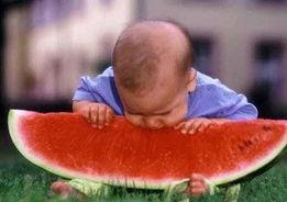 我只吃瓜,揭秘只吃瓜的奇妙世界