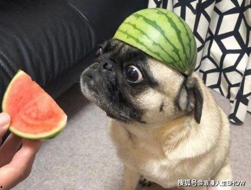 吃瓜不用小号,吃瓜群众为何偏爱匿名发声？