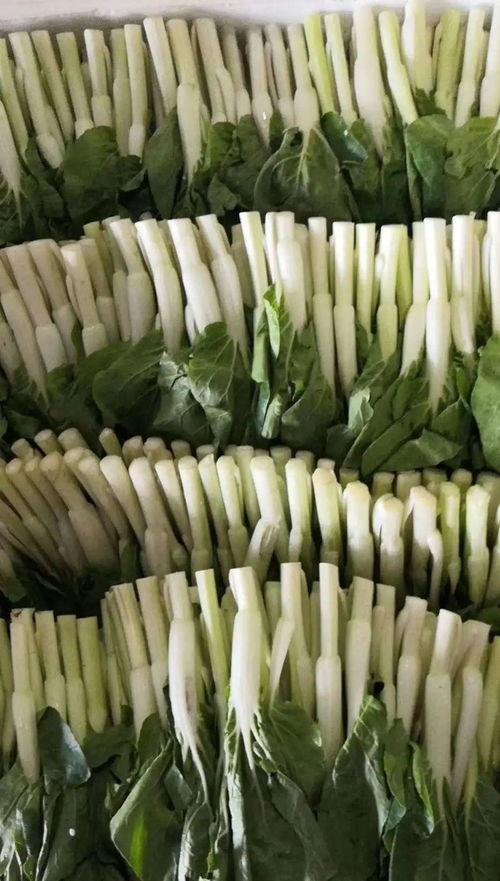 大连主播吃瓜,趣味横生直播瞬间