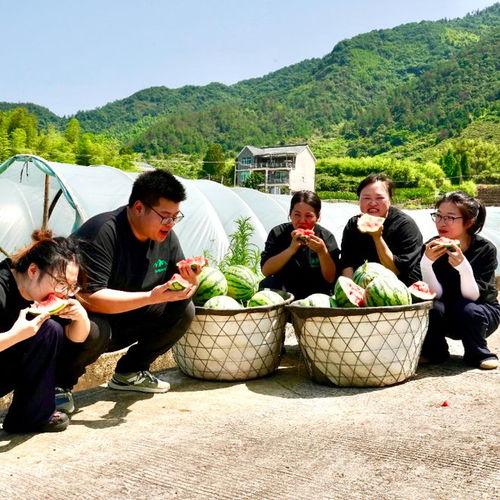 吃大瓜的群众,吃瓜群众眼中的明星生活