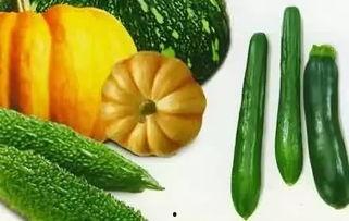 吃瓜的瓜怎么拼,揭秘“吃瓜群众”背后的故事