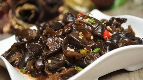 吃瓜小熊木耳,探寻木耳美食的趣味之旅