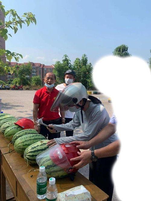 韩城吃瓜 杀手事件,吃瓜事件背后的杀手真相揭露