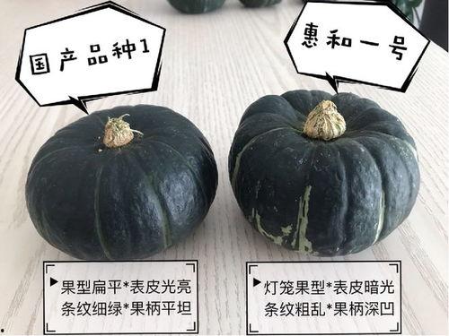 吃瓜小贝,揭秘娱乐圈背后的那些事儿