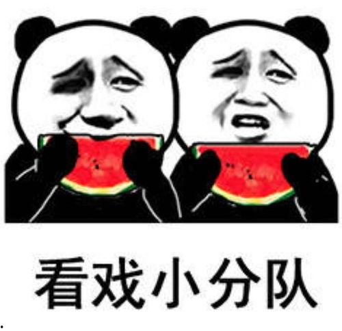 吃大瓜吃空了表情包,揭秘“吃大瓜”表情包背后的趣味与流行