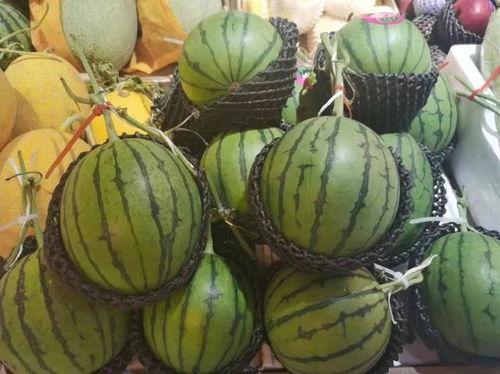 吃瓜糖的视频,一场甜蜜的视觉盛宴