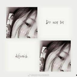 奇妙默契吃瓜,吃瓜群众的欢乐盛宴