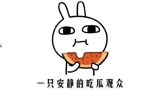 吃瓜说法的由来,揭秘“吃瓜说法”的由来与演变